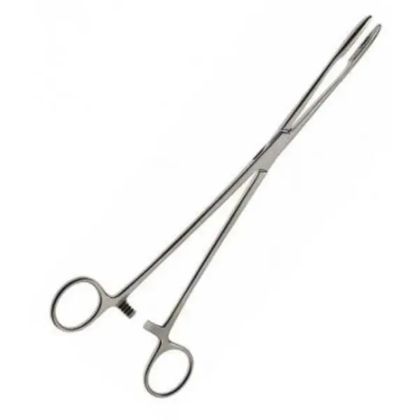 Koorntang Maier recht 25 cm