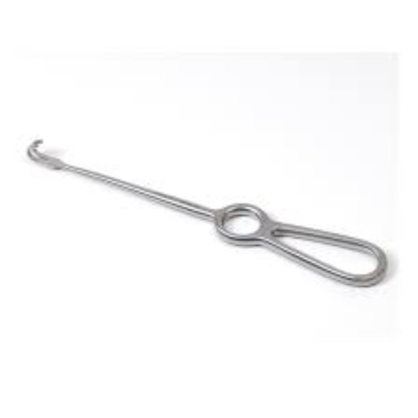 Volkmann wondhaak 2 - tands stomp 22 cm Rvs
